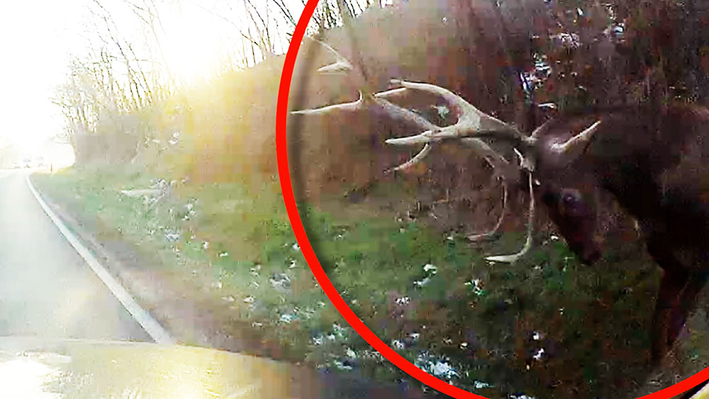 Elképesztő, hogy mit úszott meg egy olvasónk – VIDEÓ